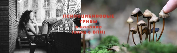 мет Нягань