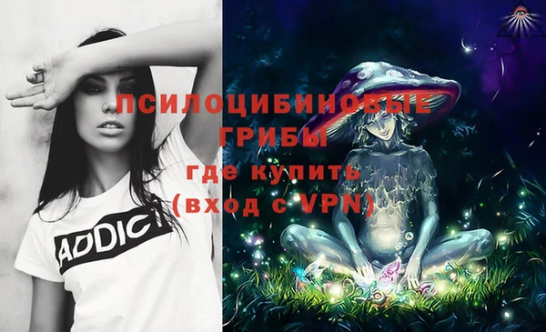 МДПВ Няндома