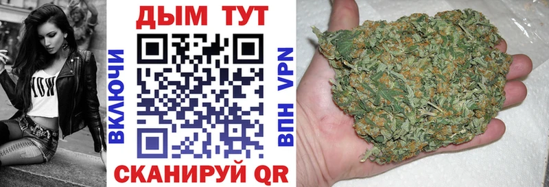 Бошки марихуана THC 21%  купить наркотик  Алагир 